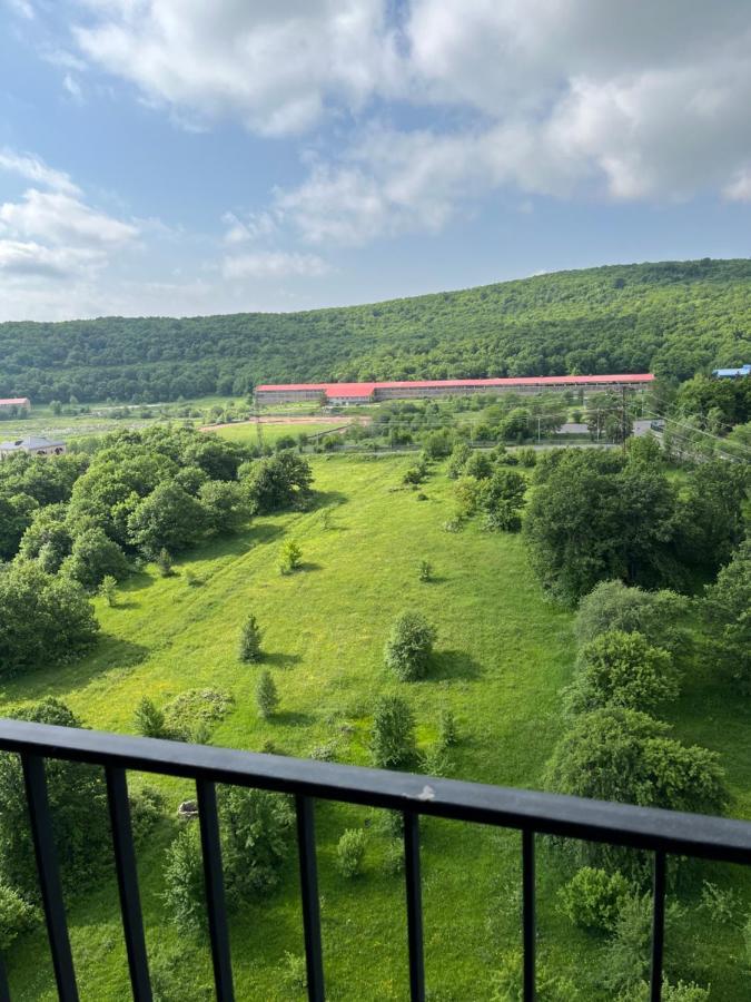 Цахкадзор, Tsaxkadzor, Kechi House Apartment 300 מראה חיצוני תמונה